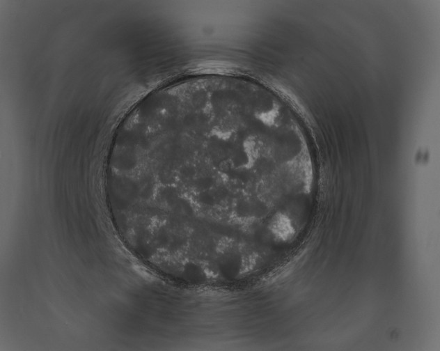 X0000091090529200708271258