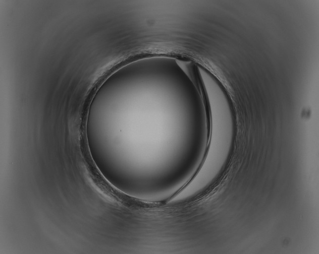 X0000091090530200708271258