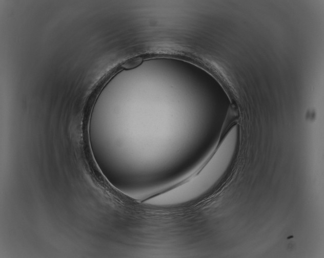 X0000091090531200708271258