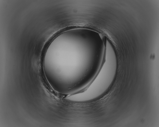 X0000091090532200708271258