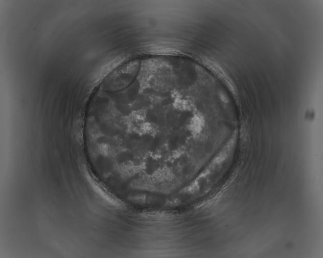 X0000091090533200708271258