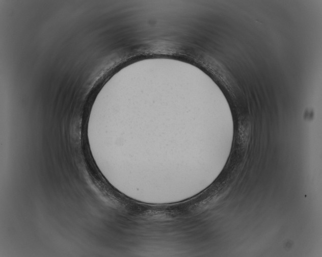 X0000091090534200708271258