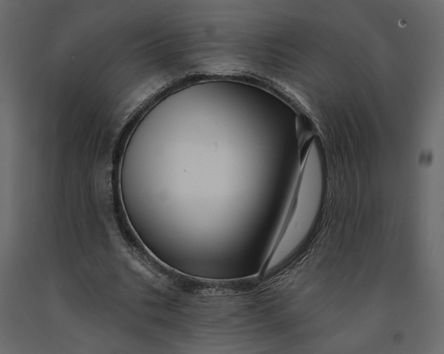 X0000091090535200708271258