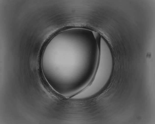 X0000091090536200708271258