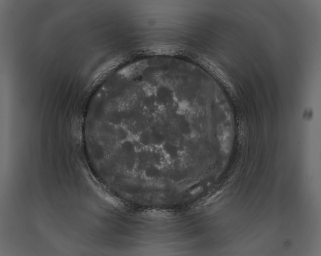 X0000091090537200708271258