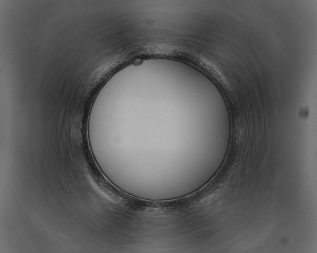 X0000091090538200708271258