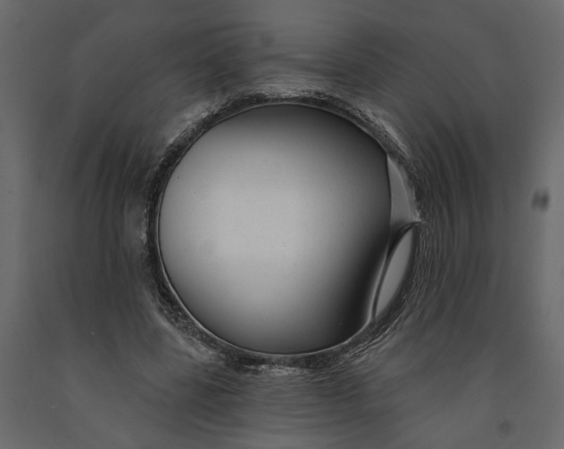 X0000091090539200708271258