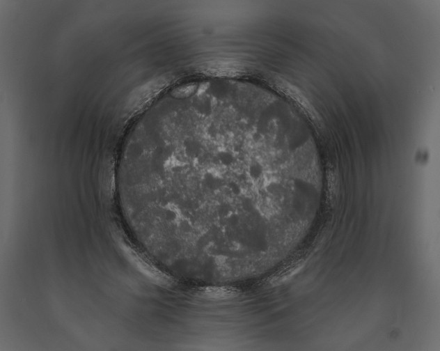 X0000091090541200708271258