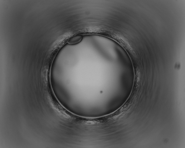 X0000091090542200708271258