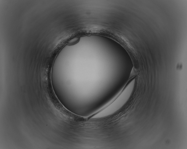 X0000091090543200708271258