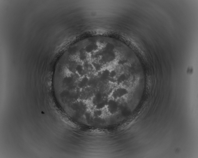 X0000091090545200708271258