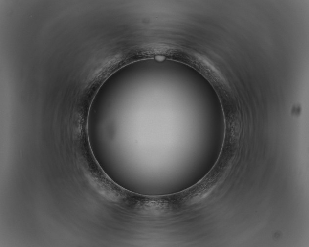 X0000091090546200708271258