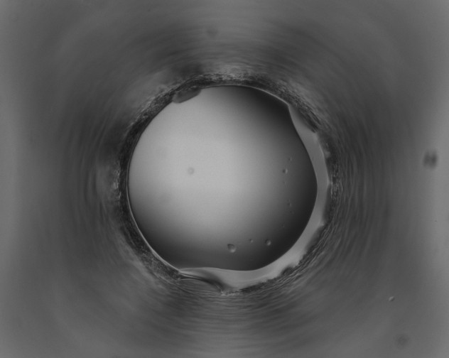 X0000091090548200708271258