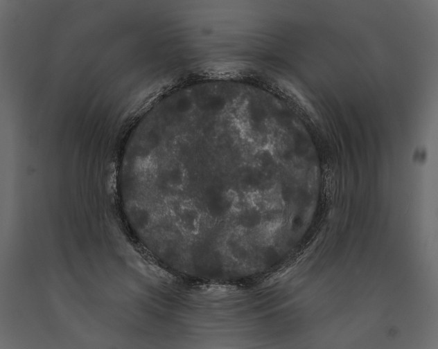 X0000091090549200708271258