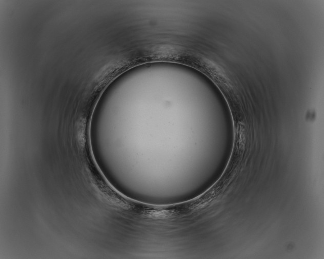 X0000091090550200708271258