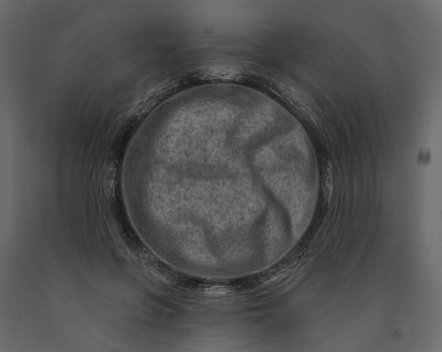 X0000091090551200708271258