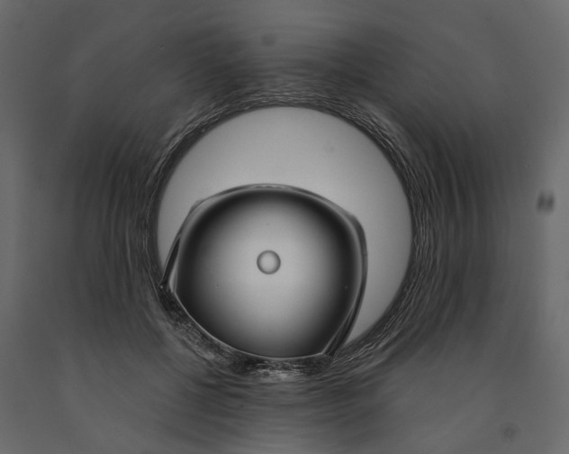 X0000091090552200708271258