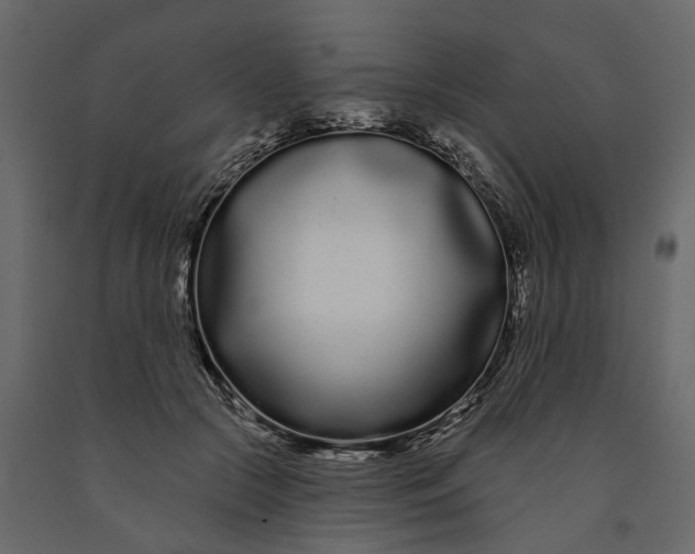 X0000091090553200708271258