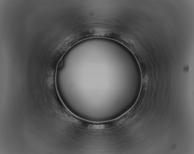 X0000091090554200708271258