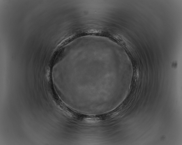 X0000091090556200708271258