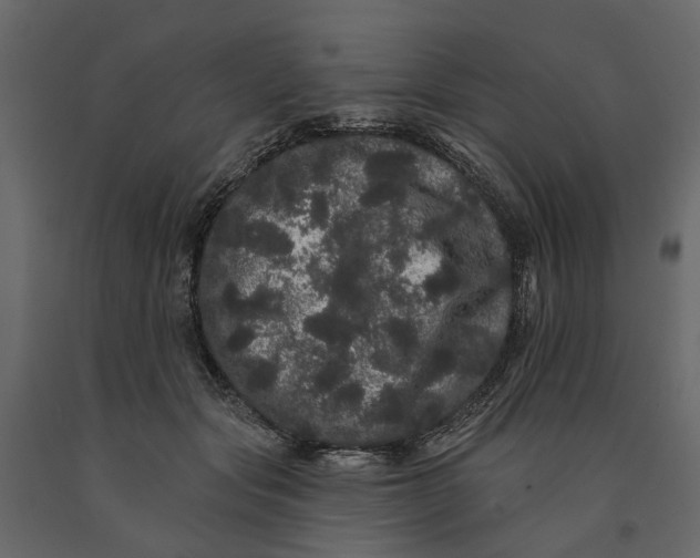 X0000091090557200708271258