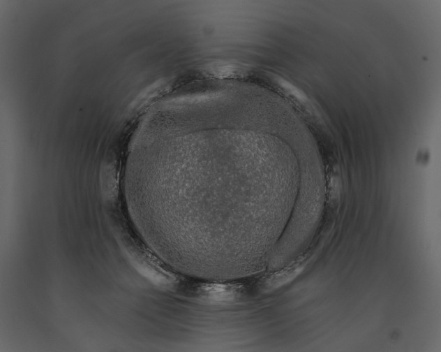 X0000091090558200708271258