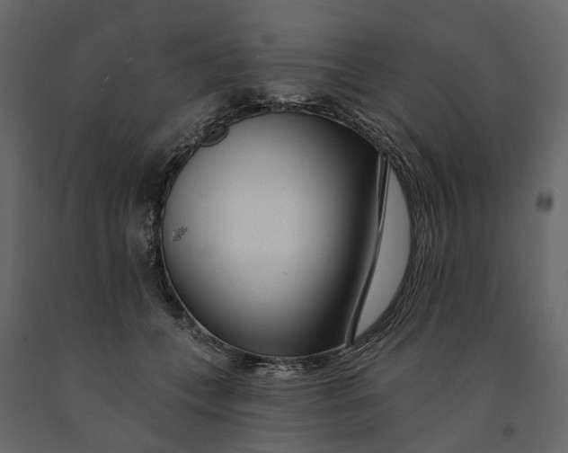 X0000091090559200708271258