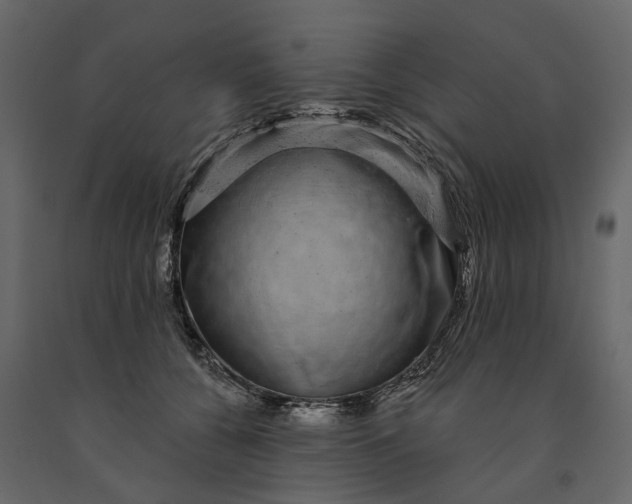 X0000091090560200708271258