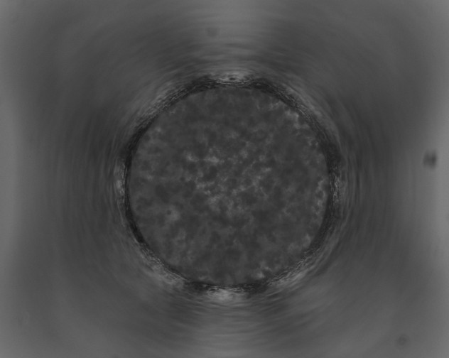 X0000091090561200708271258