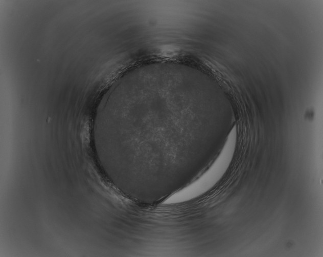 X0000091090562200708271258