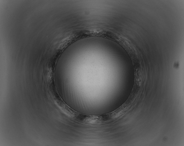 X0000091090563200708271258