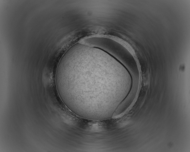 X0000091090564200708271258