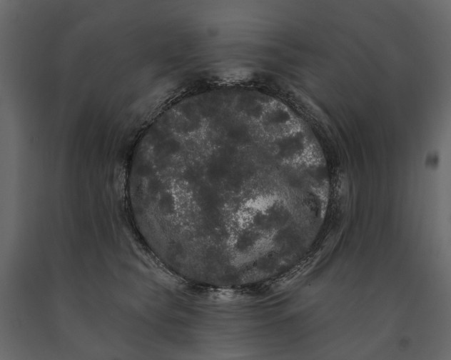 X0000091090565200708271258