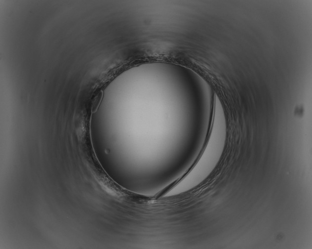 X0000091090566200708271258