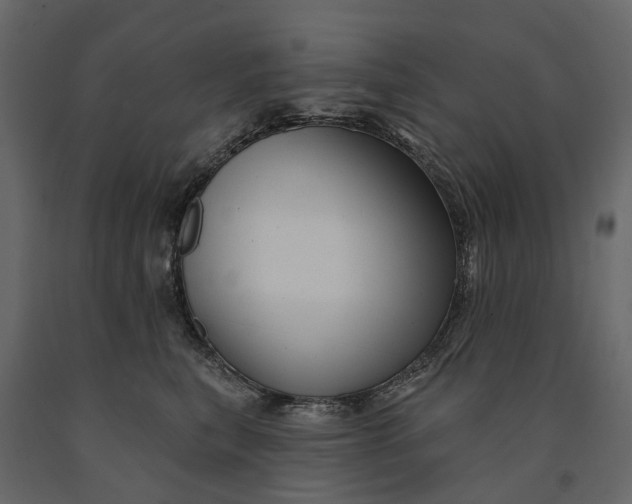 X0000091090567200708271258