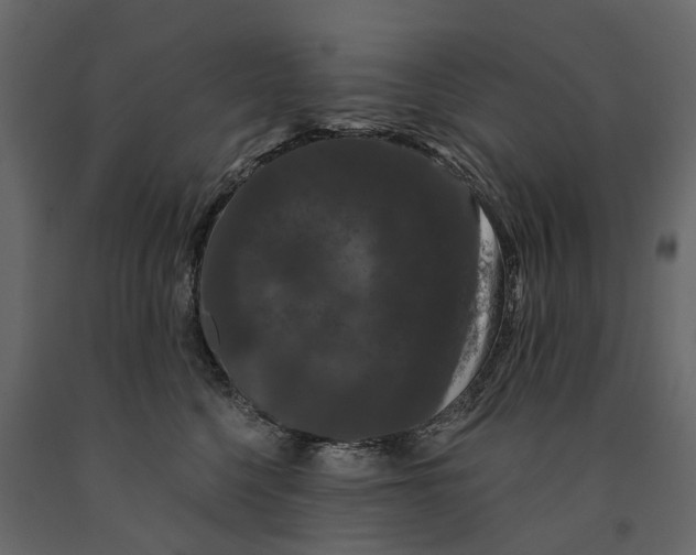 X0000091090568200708271258