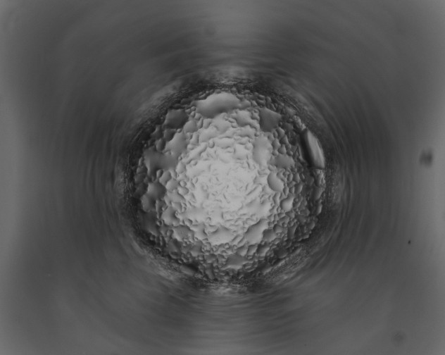 X0000091090569200708271258