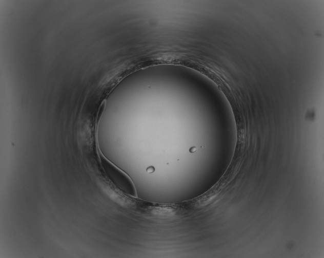 X0000091090572200708271258