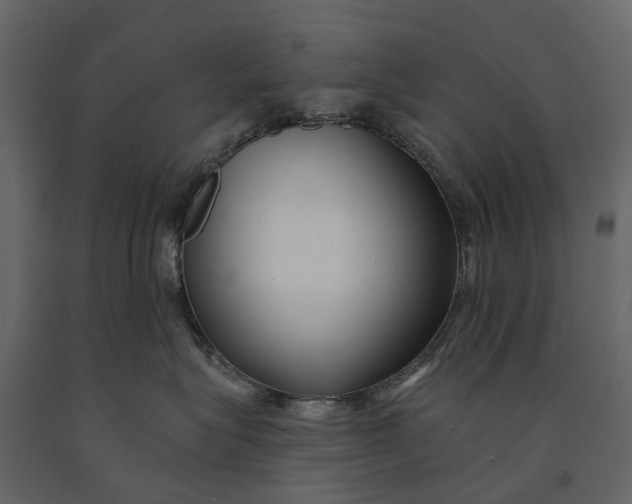 X0000091090575200708271258