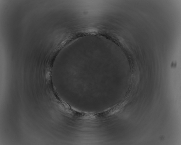 X0000091090576200708271258