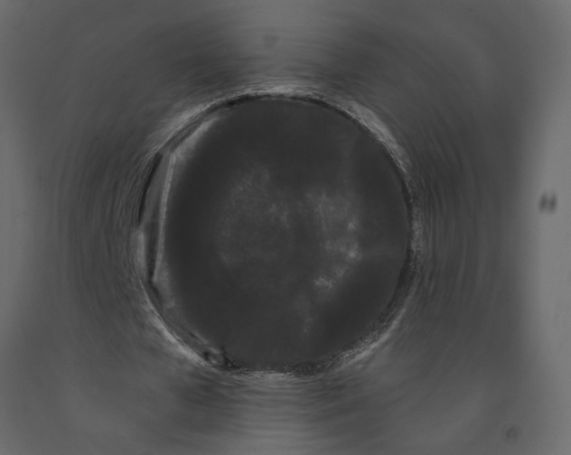 X0000091090577200708271258