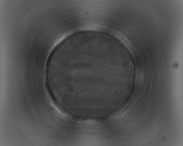 X0000091090578200708271258