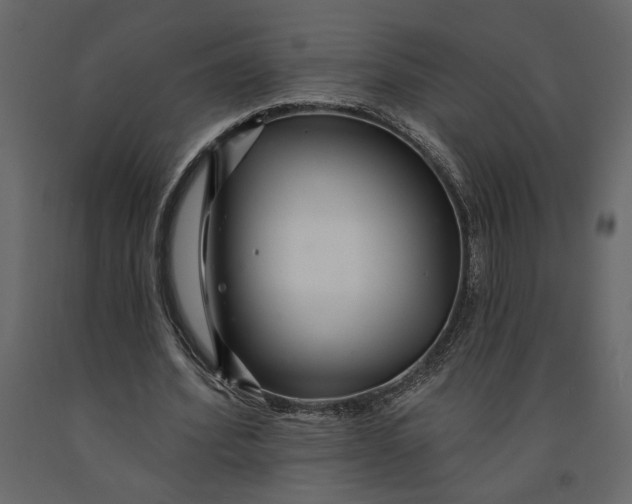 X0000091090580200708271258