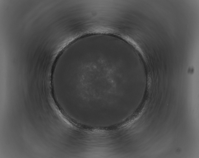 X0000091090581200708271258