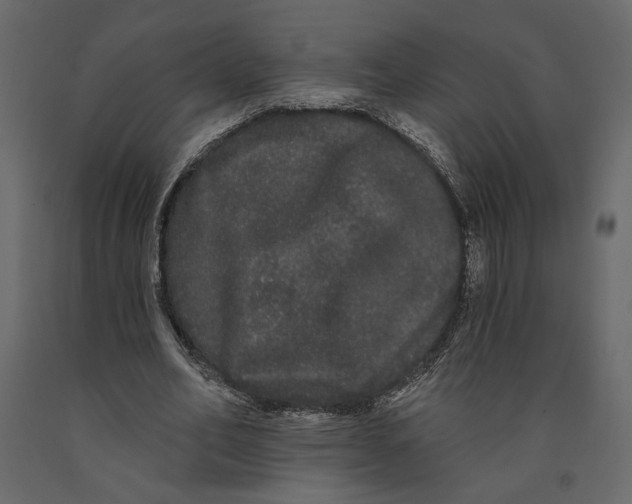 X0000091090582200708271258