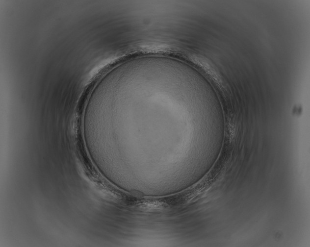 X0000091090583200708271258