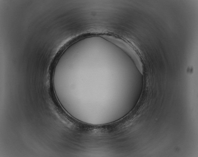 X0000091090584200708271258