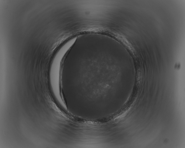 X0000091090585200708271258