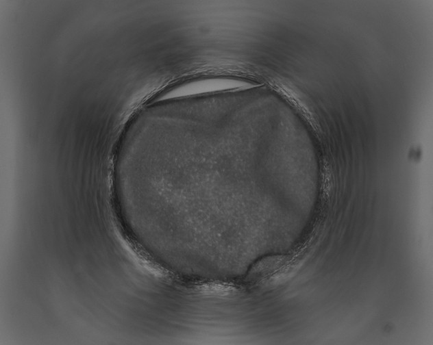 X0000091090586200708271258