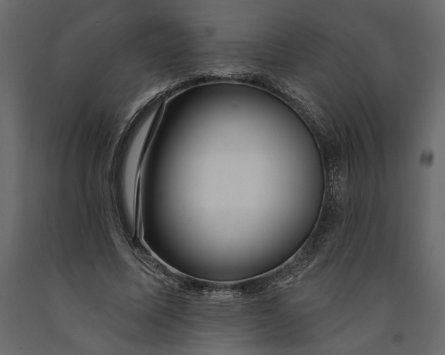 X0000091090587200708271258